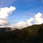 Nigro Laureana Cilento