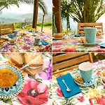 Nigro 라우레아나 실렌토