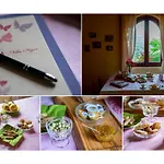 Nigro 라우레아나 실렌토