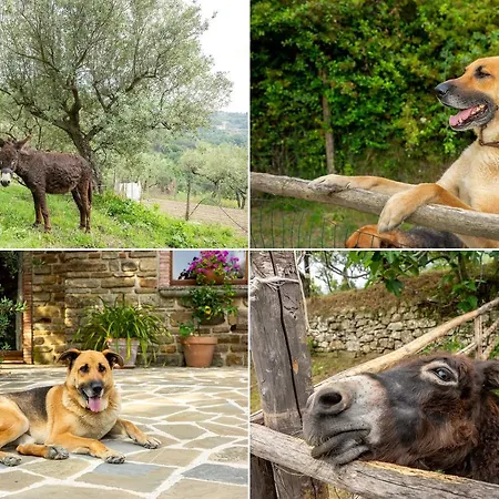 Nigro カントリーハウス