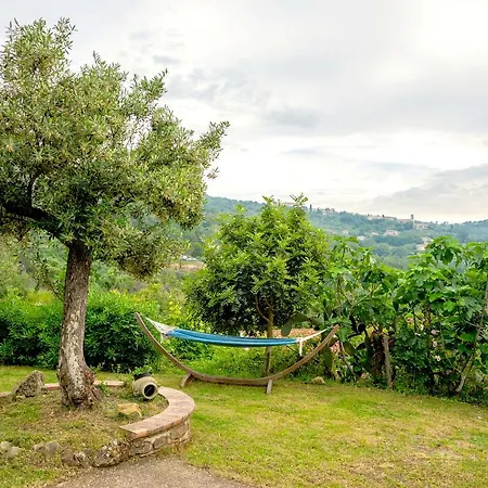 Nigro Laureana Cilento