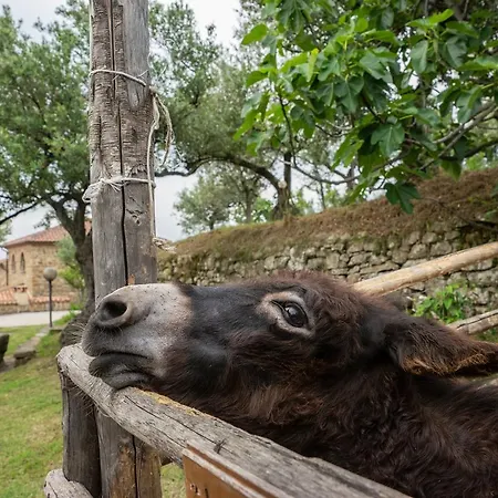 Nigro Country house Laureana Cilento