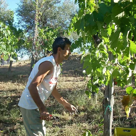 Country house Nigro